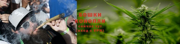 кокаин колумбия Белокуриха