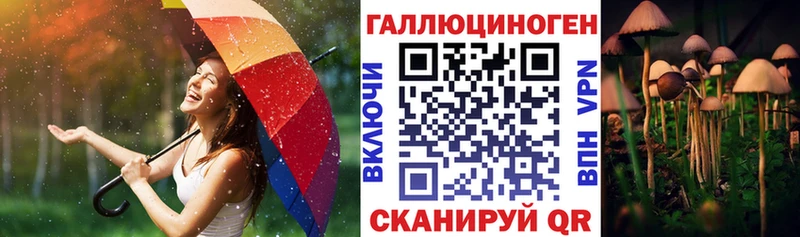 Галлюциногенные грибы Cubensis  Надым 