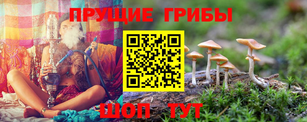 Надым  где найти   Вход с VPN  Псилоцибиновые грибы ЛСД 