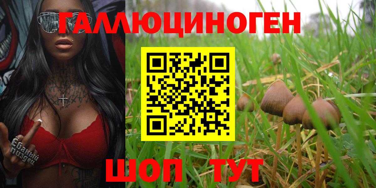 Галлюциногенные грибы MAGIC MUSHROOMS Надым
